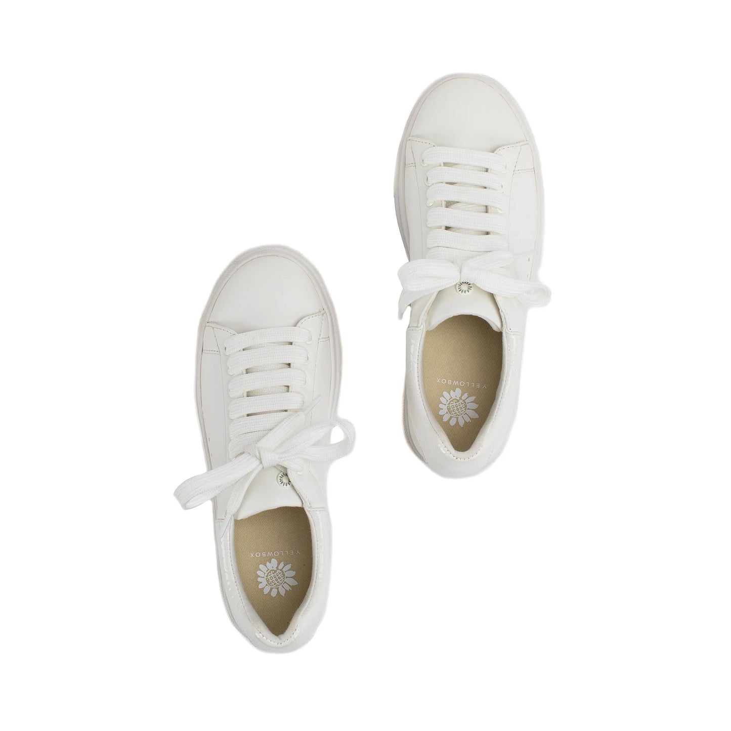Evodia Sneakers