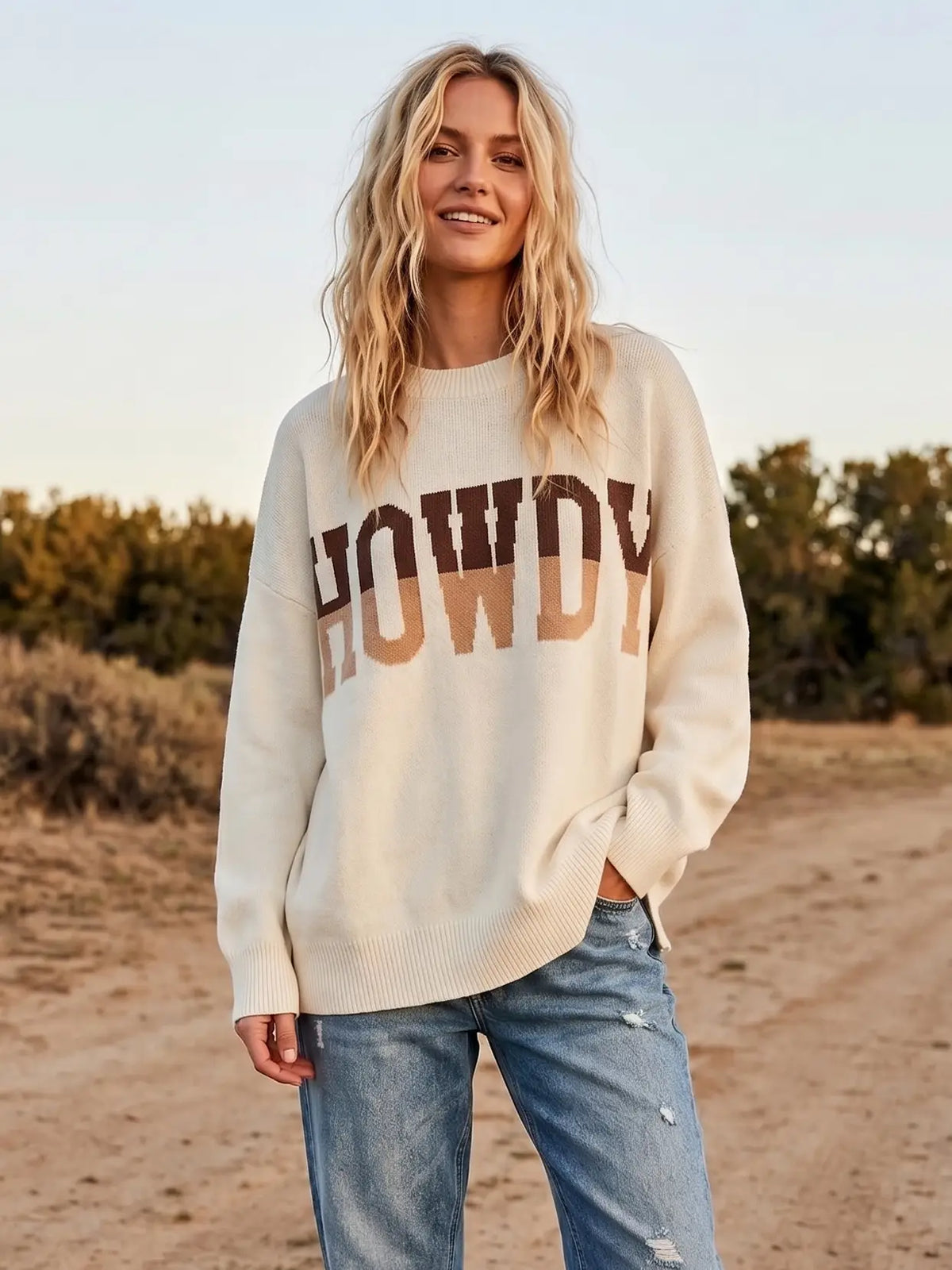 Howdy Partner Sweater Top
