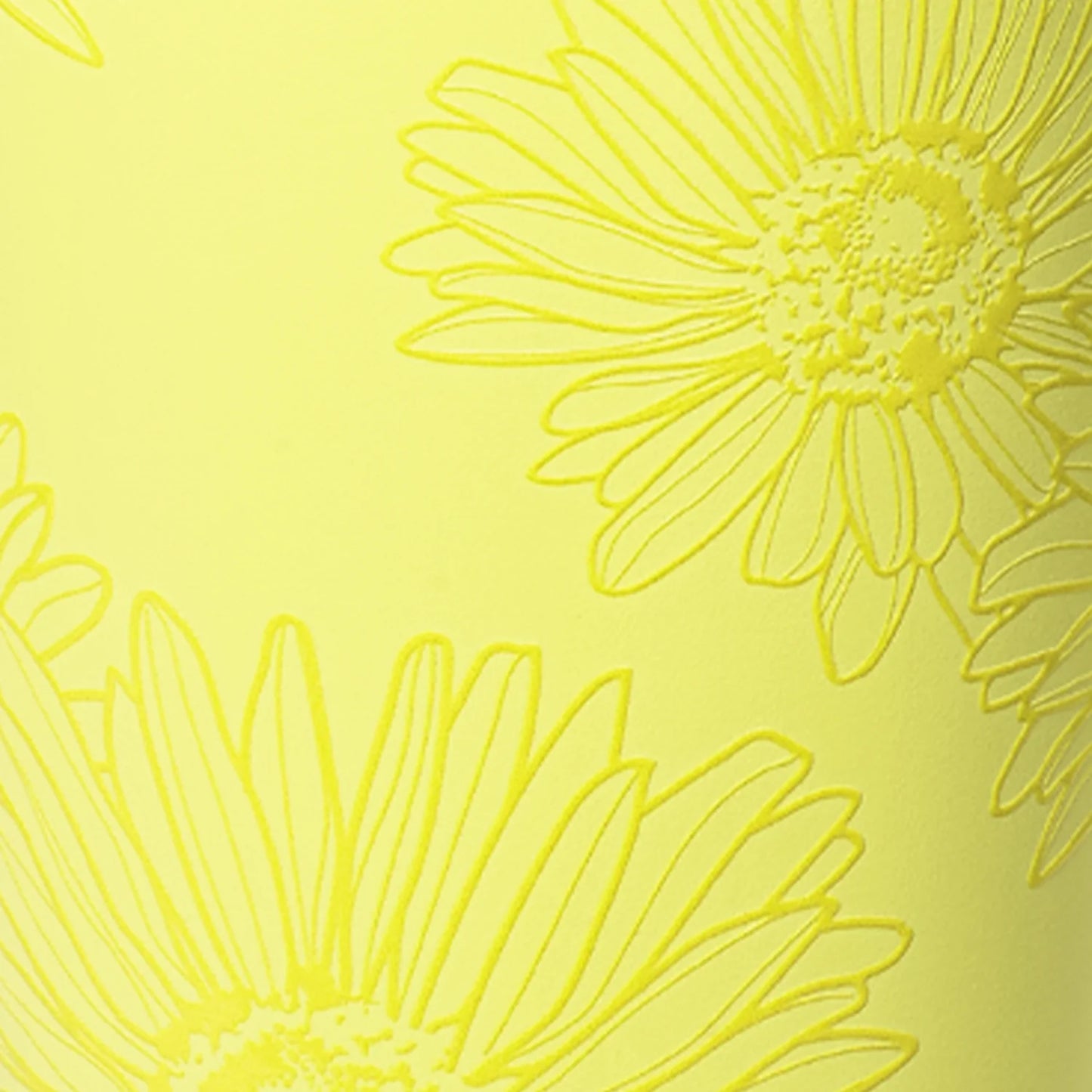 Citrus Daisy Era 40